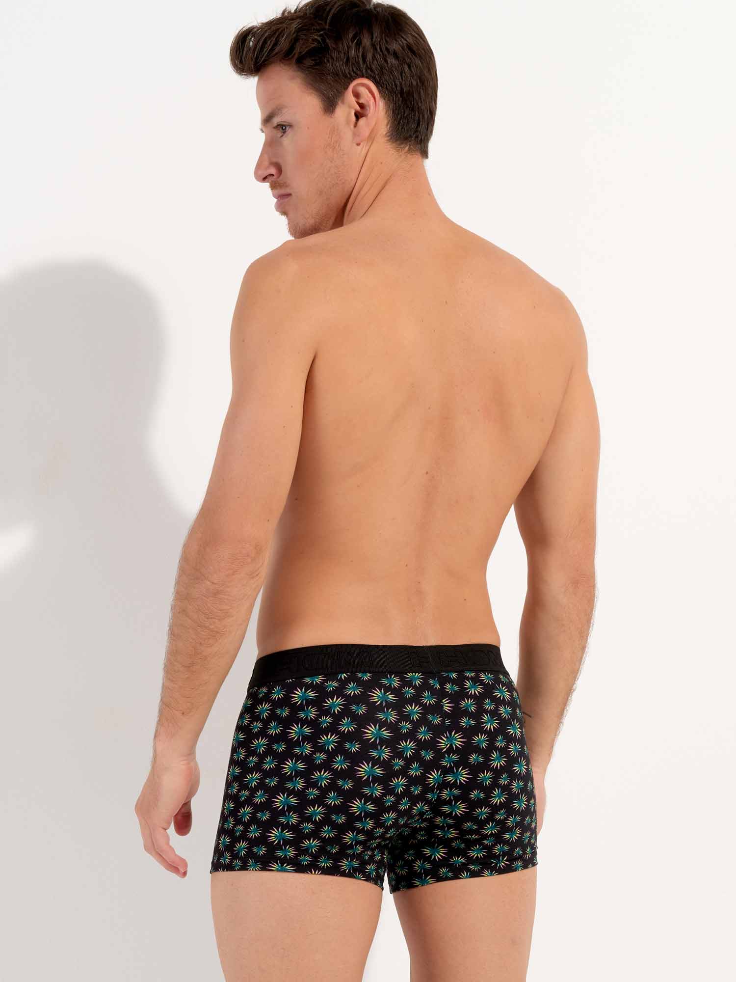 Boxer Briefs HO1 - Dizzy