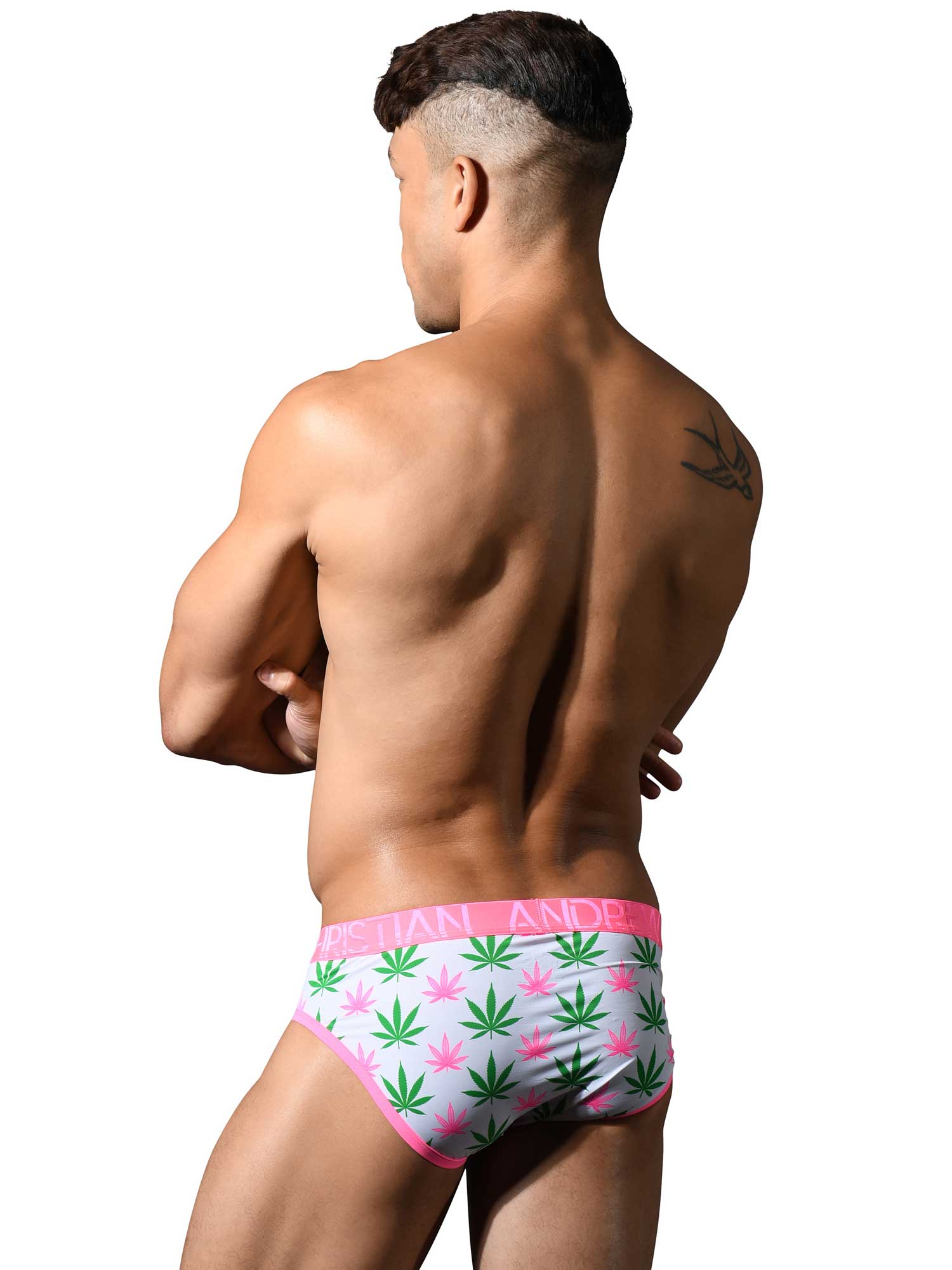 Brief - Cannabis Brief - Cannabis